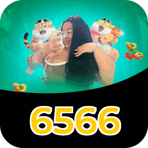 6566 Platform